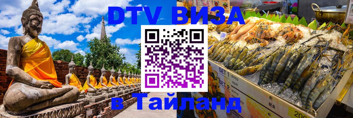 Сколько стоит DTV виза — актуальные цены, оформление даже без документов - Кызыл 